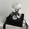 Presente mais vendido para o Dia dos Namorados e Dia das Mães: caixa de presente com cúpula de vidro com flores eternas, design do Pequeno Príncipe, atacado
