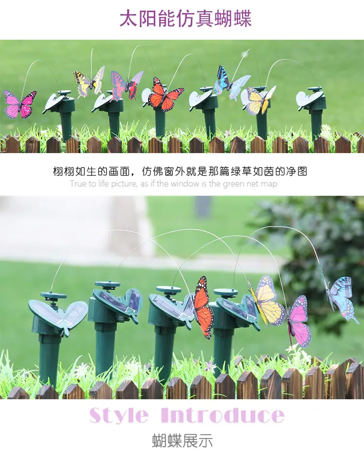 蝴蝶详情页_04.jpg