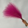 Venta Caliente Transfronteriza 55cm Caña Simulada de un Solo Tallo para Bodas Decoración del Hogar Caña de Cabello al por Mayor Multicolor Opcional
