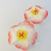 Flor de Frangipani Simulada, Flor de Hibisco, Acessórios de Cabeça de Flores Havaianas, Presilha de Cabelo de Flores Secas