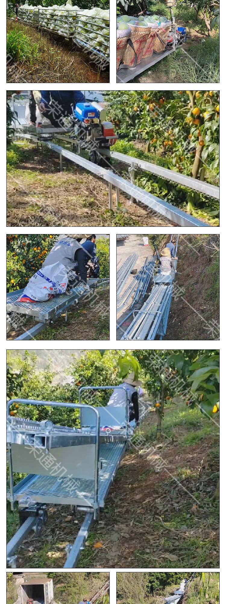 0407双链轨运输车8