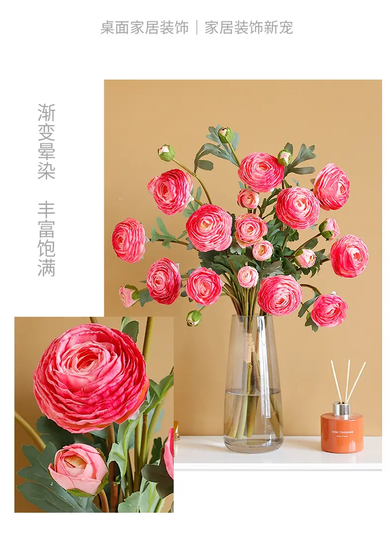 希德洋牡丹_07.jpg