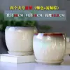 Vaso de Flores Cerâmica Tamanho Grande Doméstico com Prato Personalidade Simples Formato de Ovo Plantas Verdes Jiboia Planta Aranha Pequena Suculenta Vaso de Flores Preço Especial