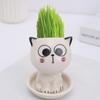 Muñeca de gato de cerámica de porcelana blanca, caricatura, expresión linda, decoración, artesanías, planta pastoral creativa, muñeca de hierba larga, maceta