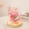 Cúpula de Cristal con Flor de Rosa y Luz, Flor de Jabón, Flor Preservada, Regalo Transfronterizo para el Día de San Valentín