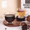 Taza de Café Transparente Tropical con Asa, Taza para Café Helado, Mocha, Caramelo, Latte, Taza para Té de Cafetería
