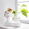 Espacio Astronauta Vikingo Hidropónico Vidrio Verde Acuoso Planta Florero Sala de Estar Mesa de Café Mesa Decoraciones Suaves Adornos