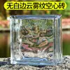 Ladrillos de Vidrio Ultra Claros, Ladrillos de Cristal, Ladrillos de Pared Divisoria Cuadrados Huecos de Moda, Media Pared de Pantalla para Baño con Patrón de Cristal de Hielo