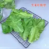 Simulação Folhas de Alface Pequenas Modelo de Vegetal Folhas de Vegetais de PVC Exibição de Alimentos de Cozinha Adereços para Sessão de Fotos de Fazenda Restaurante