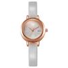 Reloj de Cuarzo Popular de Nicho de Lujo Ligero para Mujer 2024, Reloj Artístico Retro para Estudiante, Reloj de Pulsera Simple y Versátil