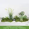 Paisajismo de Plantas Verdes Paisaje de Sala de Estar Interior Paisajismo Debajo de la Ventana de las Escaleras Arreglo de Decoración Plantas Falsas Biónicas