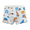 Al por mayor Ropa Interior Nueva para Niños Calzoncillos tipo bóxer de Algodón Peinado para Niños Medianos y Grandes Categoría a Calzoncillos tipo Bóxer para Bebés Niños