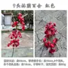 2023 Flor de simulación roja china para techo de boda fabricantes flor de simulación roja vino fondo de camino de boda flores artificiales al por mayor