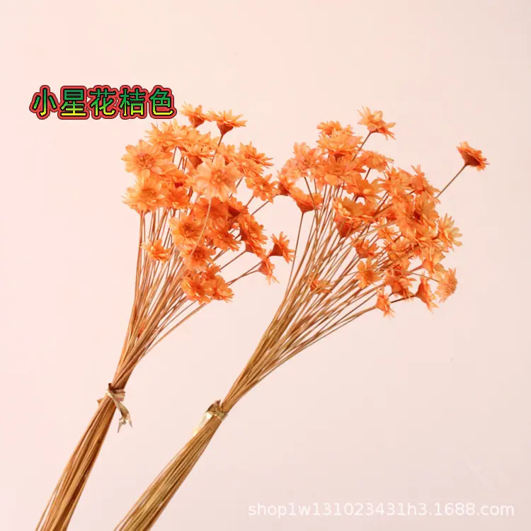 小星花桔色.jpg