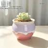 Vaso de Flor Carnuda Cerâmica Jardinagem Cerâmica Mini Novo Criativo Grés Casa Vintage Novo Vaso de Porcelana Vaso
