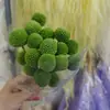 Bola Dourada Flores Secas Flores Eternas Kit de Materiais DIY Decoração Criativa Adereços para Fotos Ins Huawanjia
