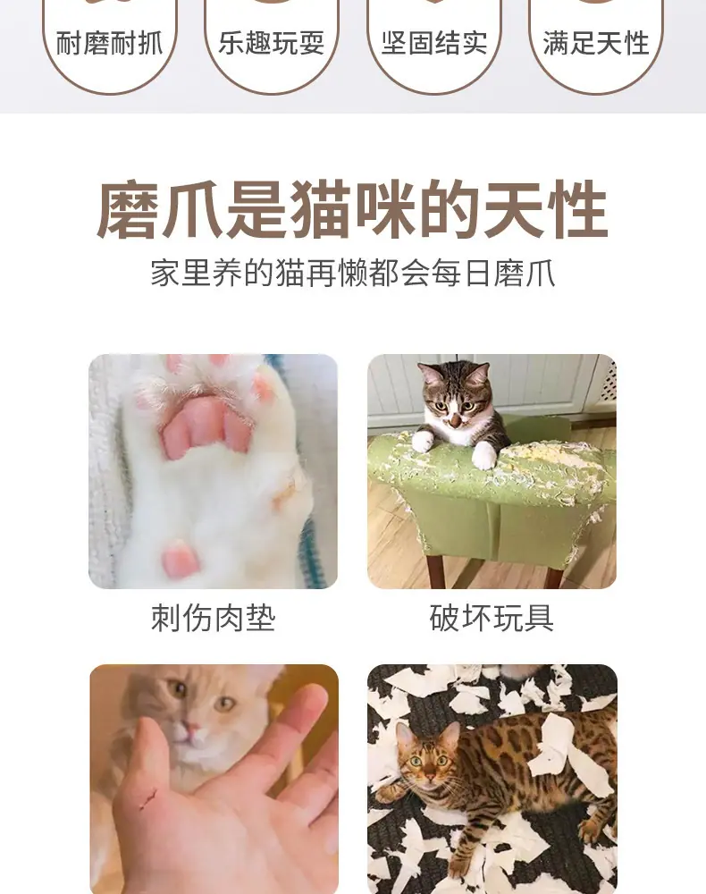 详情-2