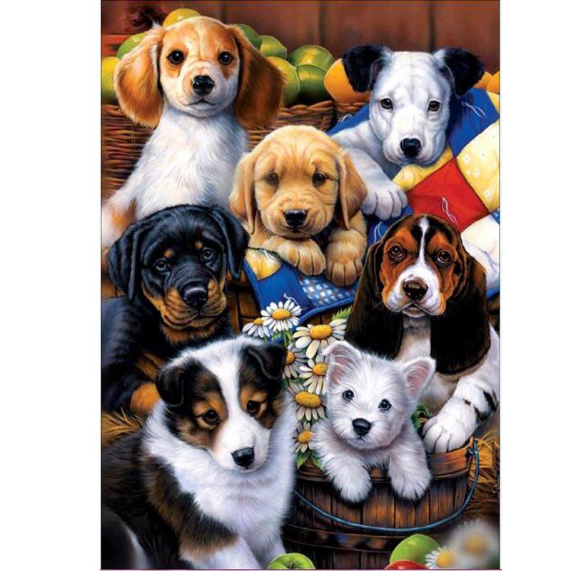 x035              30x40