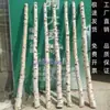 Troncos de Abedul Blanco, Ramas, Postes de Madera de Abedul Muerto, Exhibiciones Decorativas de Paisajismo, Separadores de Ventanas, Arcos de Boda, Tocones de Árboles Naturales