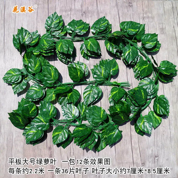 平板大号绿萝叶.jpg