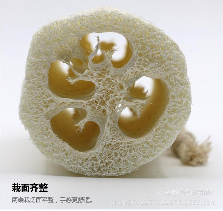 丝瓜详情6