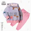 Comercio Exterior Ropa Infantil Primavera y Otoño Conjunto Infantil de Dos Piezas Material Sudadera Sudadera con Capucha Ropa Infantil para Bebés Ropa de Salida [Al por Mayor]