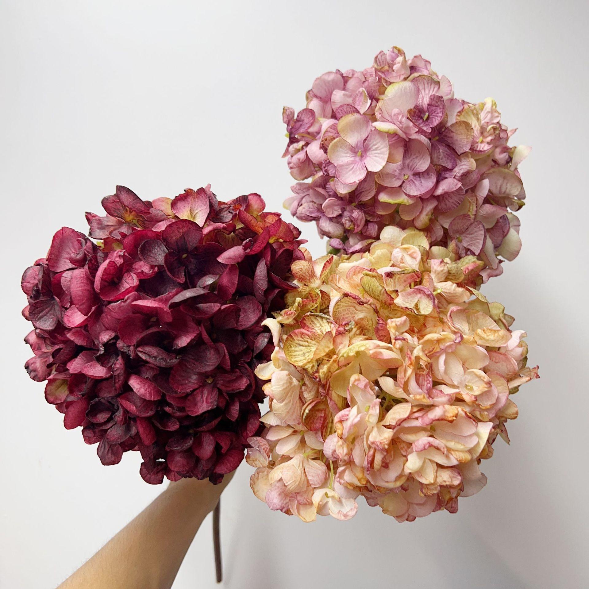 微信图片_20230913114629