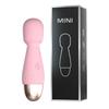 Vibrador Lailemini Mini Compacto Av Stick Carregamento USB 10 Frequências Vibração Forte Dispositivo de Masturbação Feminina Produtos para Adultos