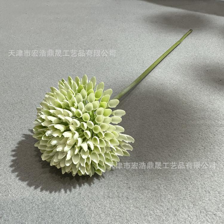 微信图片_202302241649143_副本