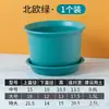 Maceta Corrugada Orquídea Maijia Maceta Creativa Distintiva para el Hogar Maceta para Carnes Maceta de Plástico Mediana Grande para Jardinería
