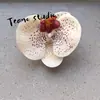 Cabeça de Flor de Orquídea Phalaenopsis Artificial, Textura de Película Impressa em 3D, Buquê Exquisito para Decoração de Casamento e Lembrança