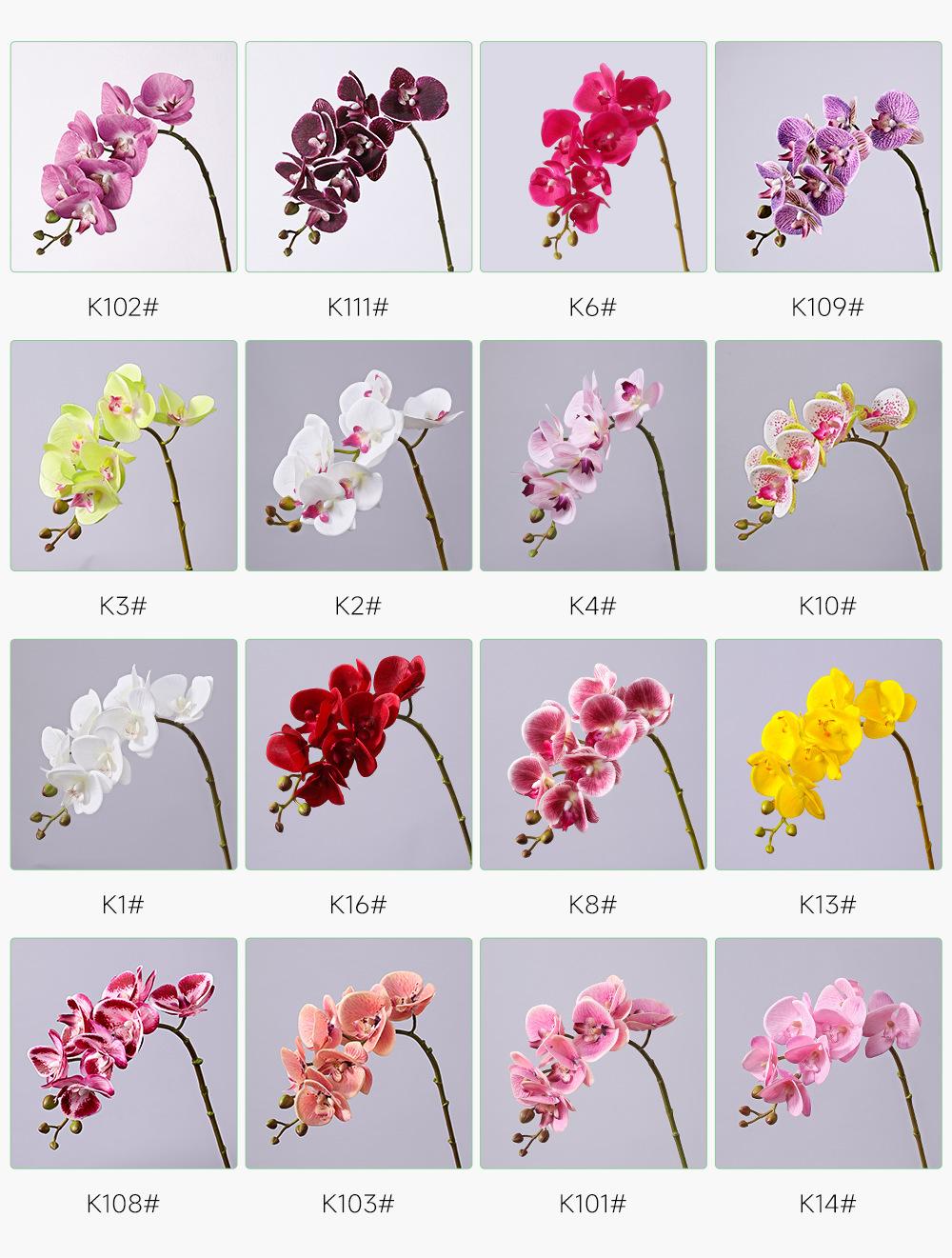 小7头蝴蝶兰详情图