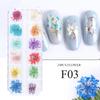 Nueva joyería de uñas transfronteriza, caja de 12 rejillas con flores secas, margaritas, estrellas, joyería de uñas natural DIY al por mayor