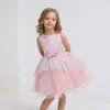Vestido de Boda para Bebé y Niño Pequeño Vestido de Princesa Vestido Pomposo Bordado para Niñas Ropa Formal Lavada El Más Vendido de Amazon