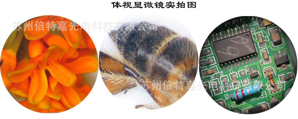体视显微镜实拍图.jpg