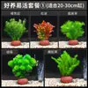 Paisajismo de acuario plantas acuáticas roca volcánica plantas reales hidroponía hierba ciempiés anubias purificación de agua paquete de calidad