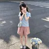 Conjunto Esportivo Casual Feminino, Estilo Verão Fino, Estilo Coreano, Gola Polo Personalizada, Manga Curta, Shorts Modernos, Conjunto de Duas Peças