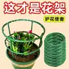 Soporte para flores para interiores, soporte doméstico, tipo universal, soporte para orquídeas pata de cangrejo, soporte para hojas de loto, soporte para plantas en maceta de jardinería, Zhao Zhi Sun