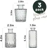 Juego de Jarrones Pequeños Decorativos de Vidrio Vintage Transparente Estilo Ins, Jarrón de Flores y Botella de Aromaterapia, El Más Vendido Transfronterizo con un Toque de Lujo