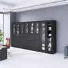 Archivero de Gama Alta, Gabinete de Documentos con Cerradura Financiero de Oficina, Archivero Metálico Desmontable, Gabinete Bajo de Cristal, Librero, Gabinete de Almacenamiento