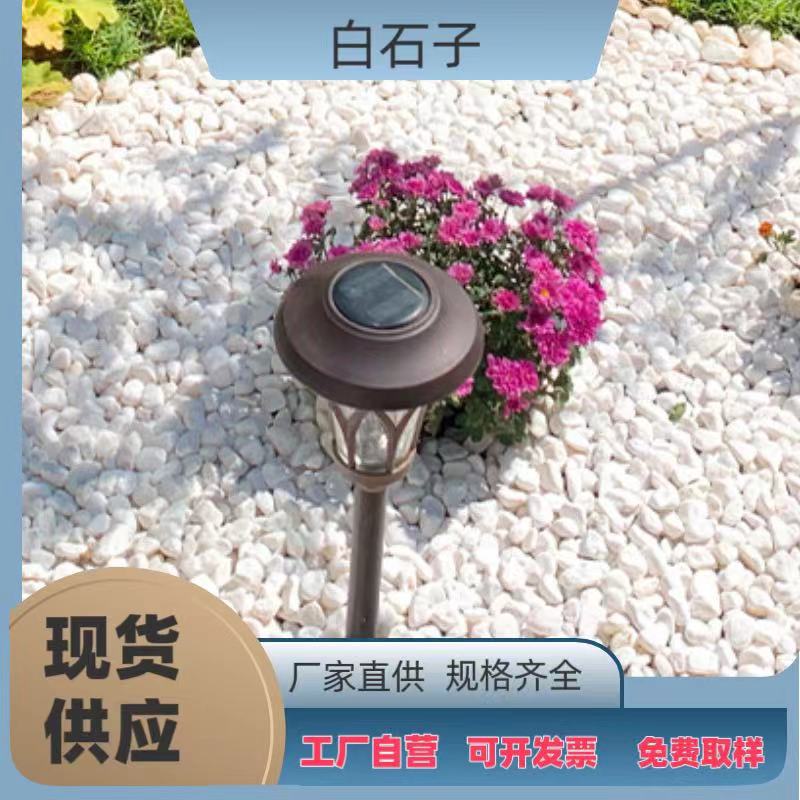 c4a372d7ed19ab995cff375ef77c8c