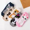 Meias de algodão femininas com estampa de cachorro de desenho animado, barco, para primavera, verão, outono e inverno, respiráveis, da moda, comércio exterior japonês, moda coreana