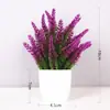 Plantas Simuladas de Venta Caliente Transfronteriza, Plantas Falsas, Plantas Verdes, Decoración para Interiores y Exteriores, Plantas en Maceta de Plástico, Pequeñas Plantas en Maceta de Eucalipto