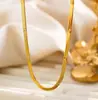 Nenhum temperamento desbotado luz luxo banhado a ouro requintado colar de aço titânio moda versátil moda feminina clavícula cadeia fabricantes