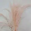 Hierba Barba de Dragón Flor Eterna Flor Seca Real Sueño de Yunnan Decoración Suave Materiales de Arte Fuegos Artificiales Hierba de Pelo Largo Decoración de Boda