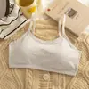 Ropa Interior Transfronteriza para 16-9 Años Sujetador para Mujer Período de Desarrollo Estudiantes de Secundaria y Preparatoria Estilo Coreano Chaleco de Tubo Deportivo