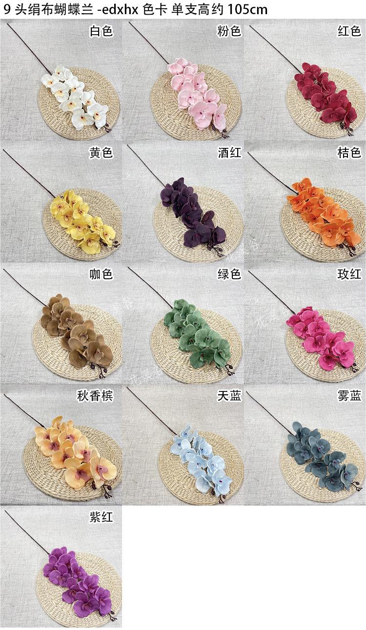 9头绢布蝴蝶兰-edxhx 色卡 花溪谷.jpg