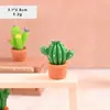 Micro Paisaje de Resina Cactus en Maceta Miniatura Manualidades de Cactus Adornos Decoración del Hogar Regalos Venta al por Mayor