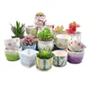 Vaso de flor de suculenta em cerâmica com prato, oferta especial, diâmetro grande, tamanho grande, vaso criativo para suculentas de casa