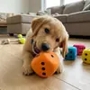 Juguete para Perro Mascota Dado de Espuma Sólida Eva Dado Grande de Colores Juego Interactivo